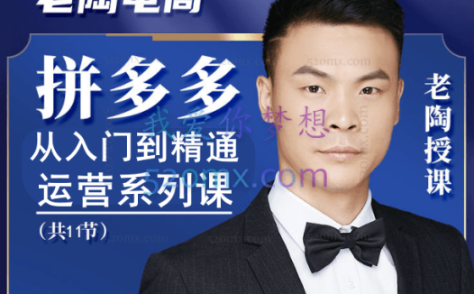老陶电商：从入门到精通多多运营系列课