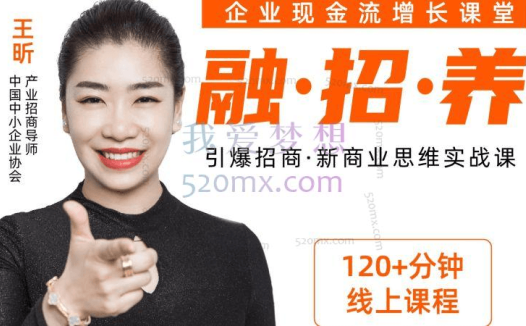 王昕:引爆招商·商业模式创新思维中小企业转型增长线上实战课