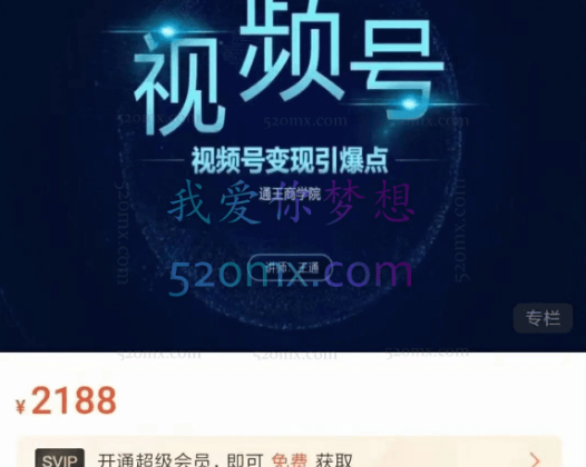 王通《视频号变现引爆点》