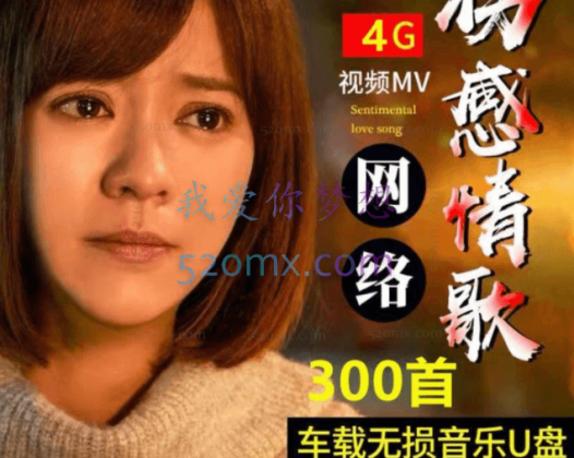 短视频蓝海项目，美女车载U盘，轻松月入过万，适合0基础小白