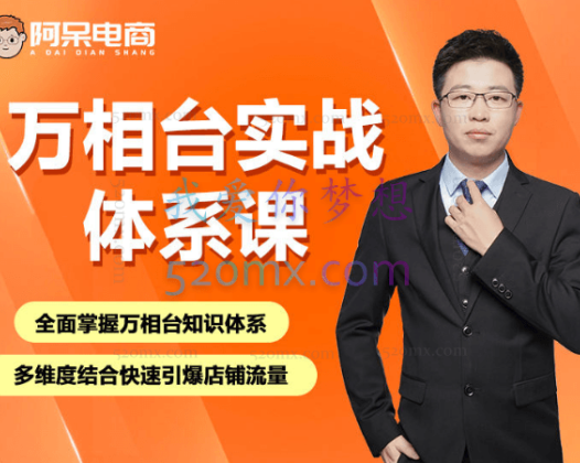 阿呆电商:万相台实战体系课