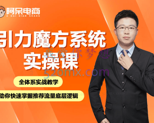 阿呆电商引力魔方系统实操课