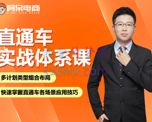 阿呆电商直通车实战体系课