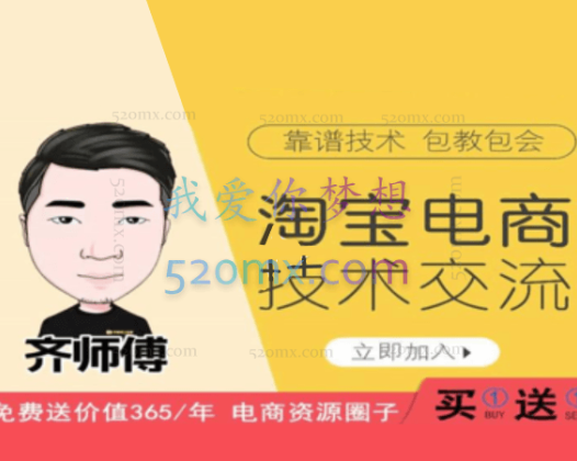 齐师傅淘宝电商技术VIP(1对1技术指导)