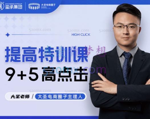 大圣电商9+5高点击提升特训课