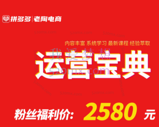 老陶电商系统化课程