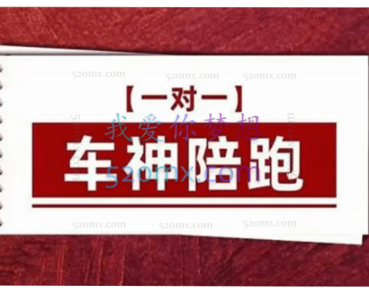 发宝电商纪主任车神陪跑【一对一】