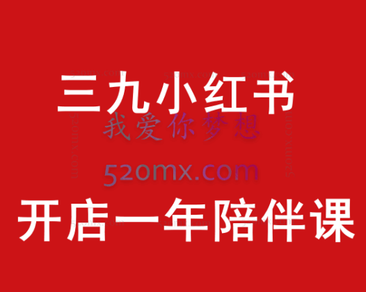 三九小红书开店一年陪伴课,从0到1玩赚小红书开店