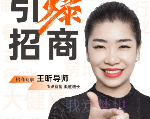 王昕：招商方案课程