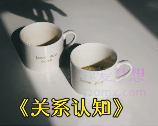 《关系认知》
