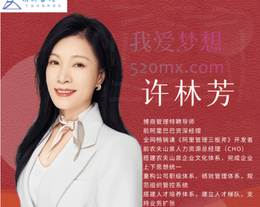 许林芳：企业高效组织管理