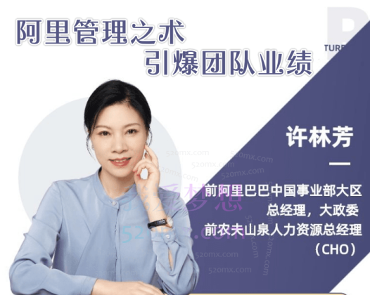 许林芳《阿里管理之术：引爆团队业绩》