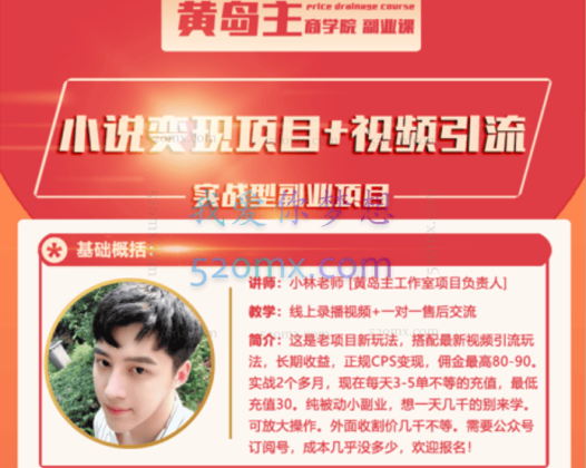 黄岛主:小说变现副业项目