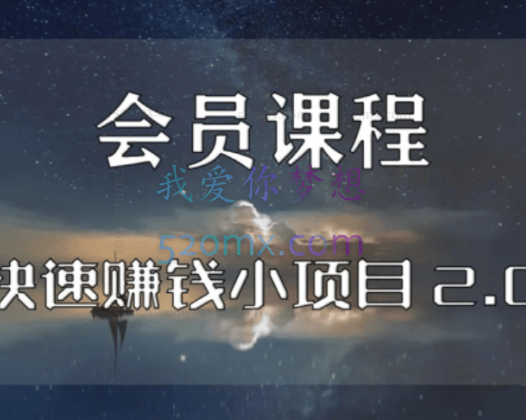 麒士团队:快速赚钱小项目2.0