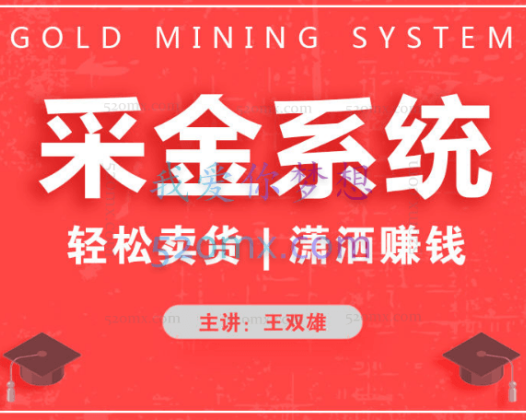 《采金系统2.0》（私域成交）王双雄