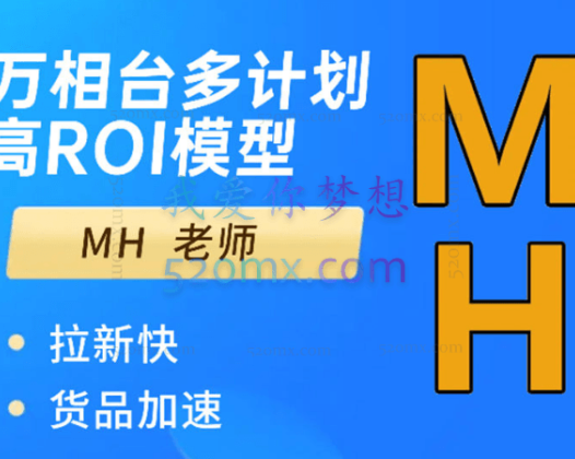 周心驰：MH-万相台多计划高ROI技术模型