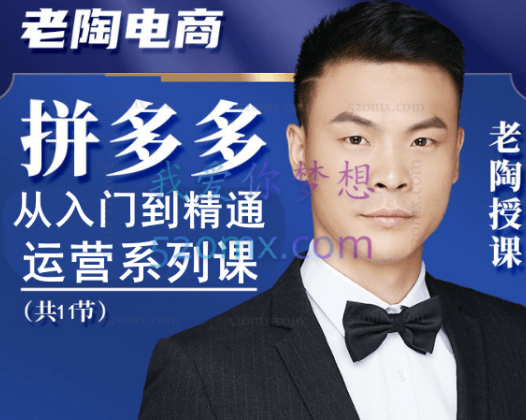 老陶电商：从入门到精通多多运营系列课