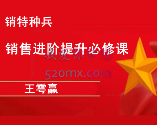 王雩赢：销特种兵–销售进阶提升必修课