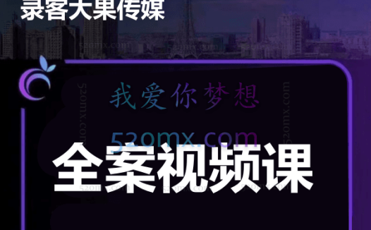 大果文化-全案视频课