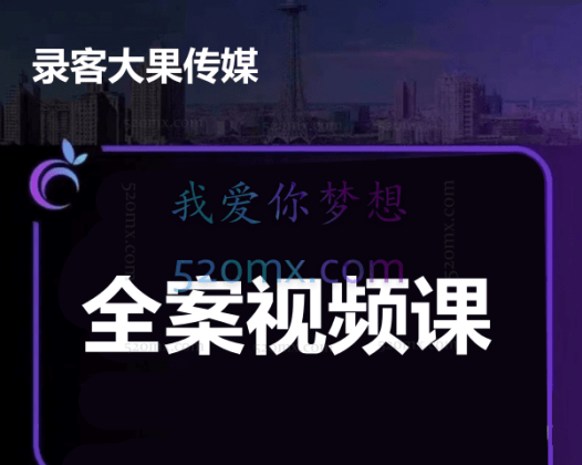 大果文化-全案视频课