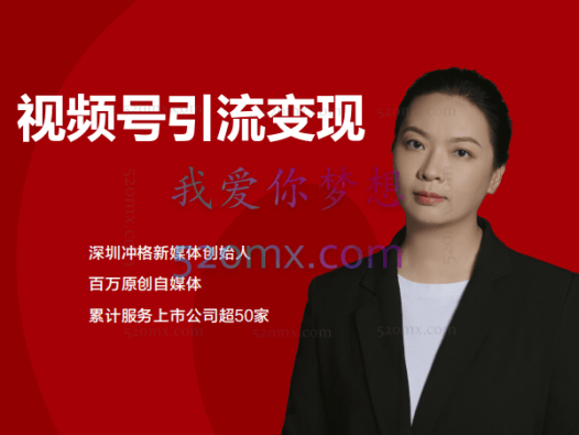 视频号引流变现课：小流量大利润实战笔记、冲破传统思维、重塑品牌格局!