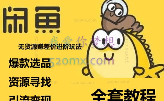 我是钱：闲鱼无货源赚差价进阶玩法，爆款选品，资源寻找，引流变现全套教程（11节课）