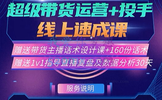 数据哥:超级带货运营+投手线上速成课(35节完整版)