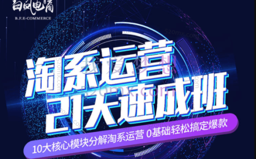 白凤电商【淘系运营系列课】淘系运营从入门到精通(2023年)