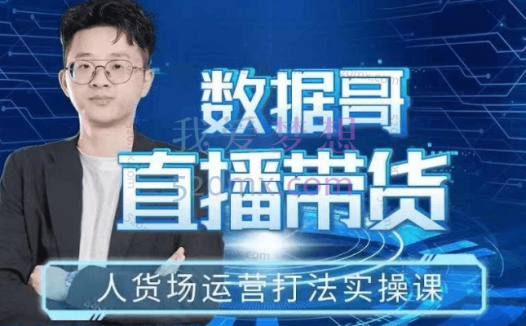 数据哥直播带货人货场运营打法实操课
