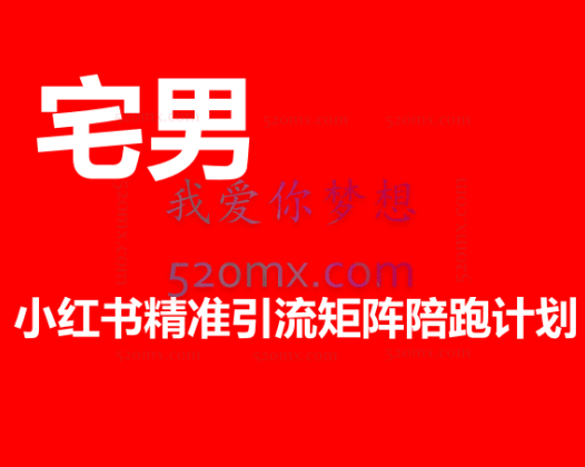 宅男:小红书精准引流矩阵陪跑计划