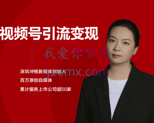 视频号引流变现课:小流量大利润实战笔记、冲破传统思维、重塑品牌格局!
