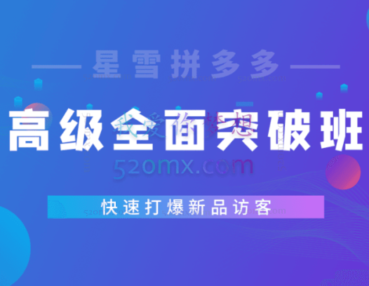 星雪教育：拼多多高级班1年期会员，从小白到高阶全面突破！