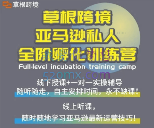 草根跨境私人1对1定制管家:Amazon亚马逊从思维到实操、速成全阶、选品之王