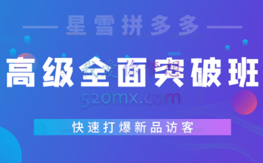 星雪教育:拼多多高级班1年期会员,从小白到高阶全面突破!