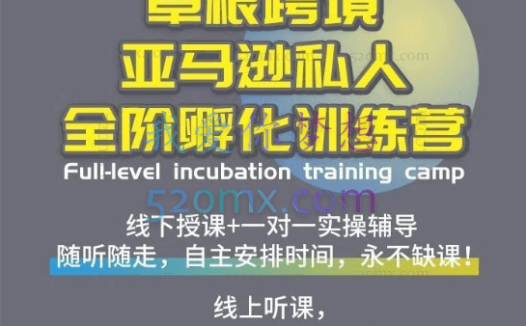 草根跨境私人1对1定制管家:Amazon亚马逊从思维到实操、速成全阶、选品之王