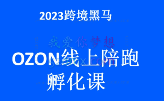 2023跨境黑马:OZON线上陪跑训练营