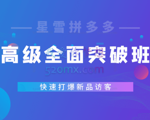 星雪教育：拼多多高级班1年期会员，从小白到高阶全面突破！