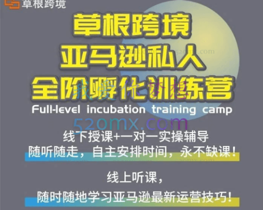 草根跨境私人1对1定制管家:Amazon亚马逊从思维到实操、速成全阶、选品之王
