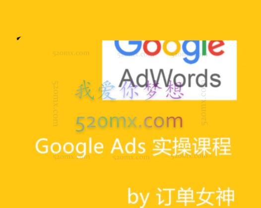 Google ads 谷歌广告投放实操课