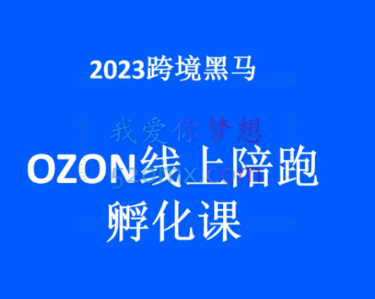 2023跨境黑马:OZON线上陪跑训练营