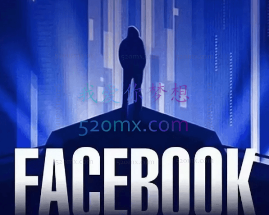 新型跨境项目:FB跨境私域(全球TOP30亿用户流量,特产出海东南亚,中东COD回款)