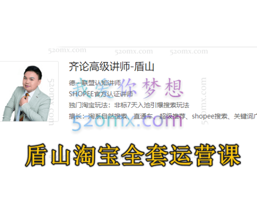 齐论电商盾山淘宝全套运营课,0基础入门实战到进阶
