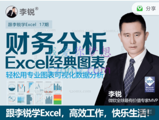 李锐Excel财务分析经典图表第十七期