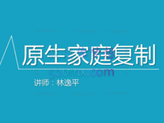 林逸平：原生家庭的复制 课程12讲 视频录像