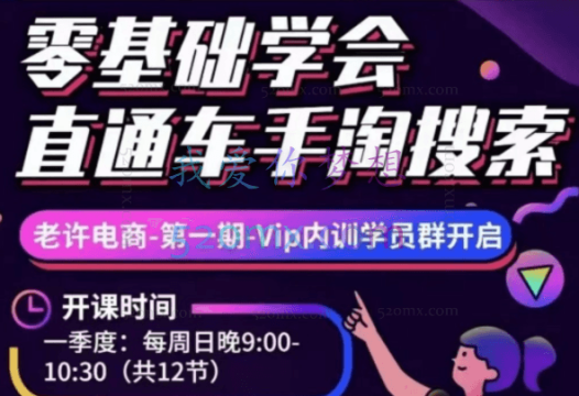 老许淘系搜索-非搜-直通车-选品-测款-教学答疑,价值3499元
