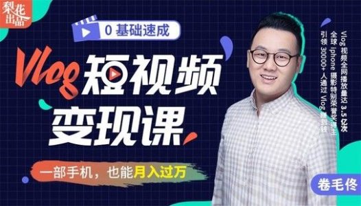 卷毛佟：零基础速成《Vlog短视频变现课》