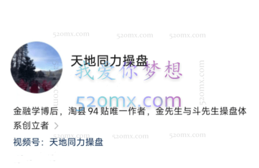 天地同力操盘视频课