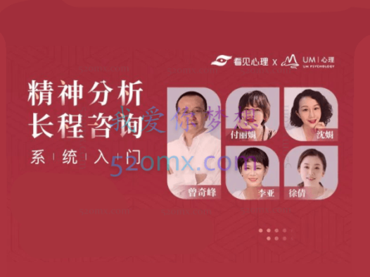 精神分析取向长程咨询实务系统课