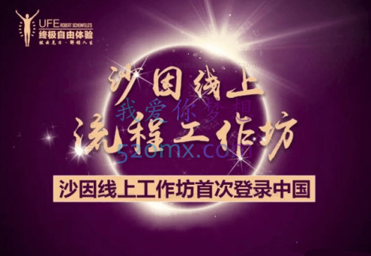 罗伯特.沙因费尔德:沙因 “流程”线上工作坊20讲视频课程 (中文字幕)