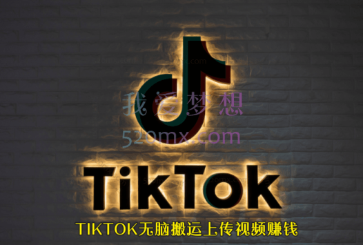 TIKTOK无脑搬运上传视频赚钱,日入150-250美元,小白可做(2节视频课)